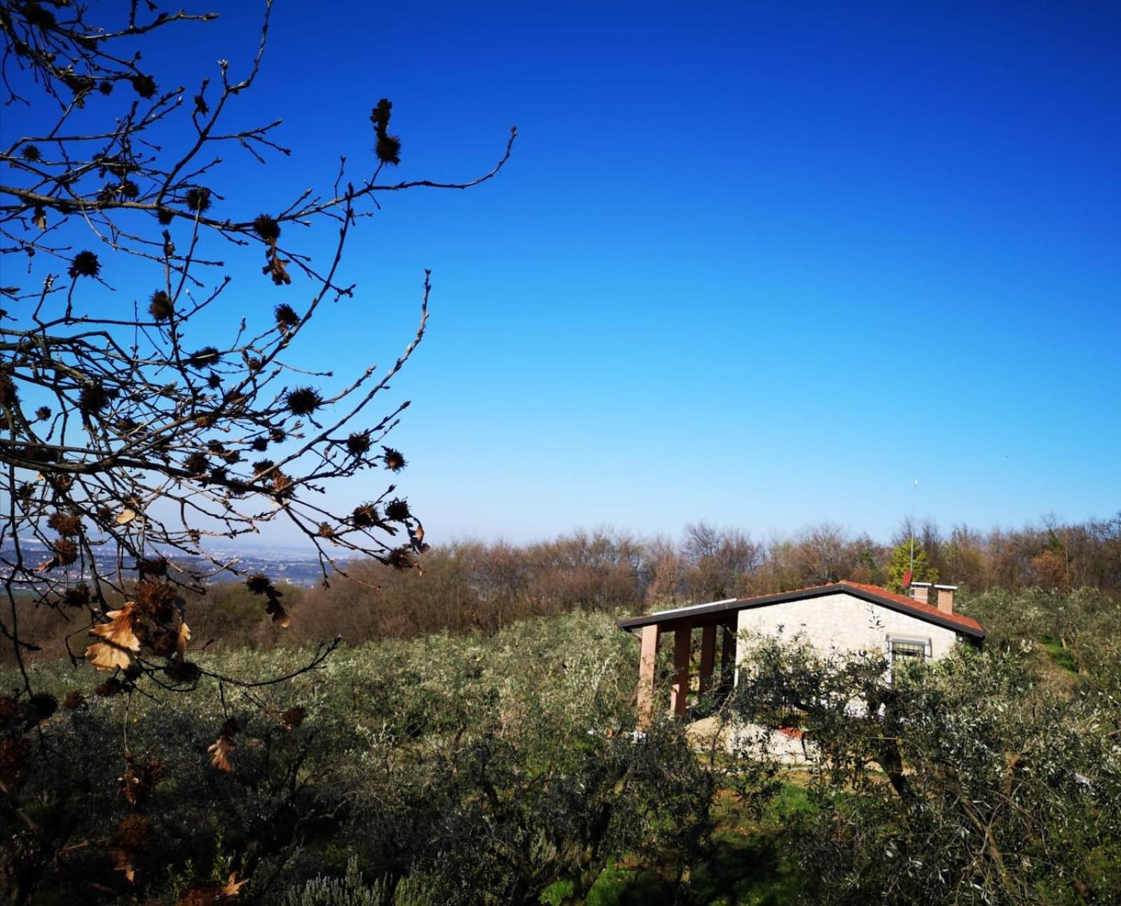 Agriturismo Bosco Magico Verona Bagian luar foto